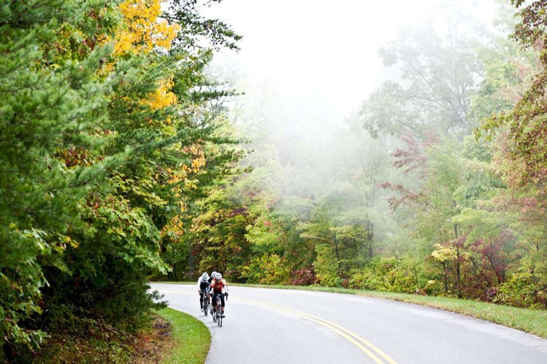 Cyclists Cycling in Fog and Fall Foliage