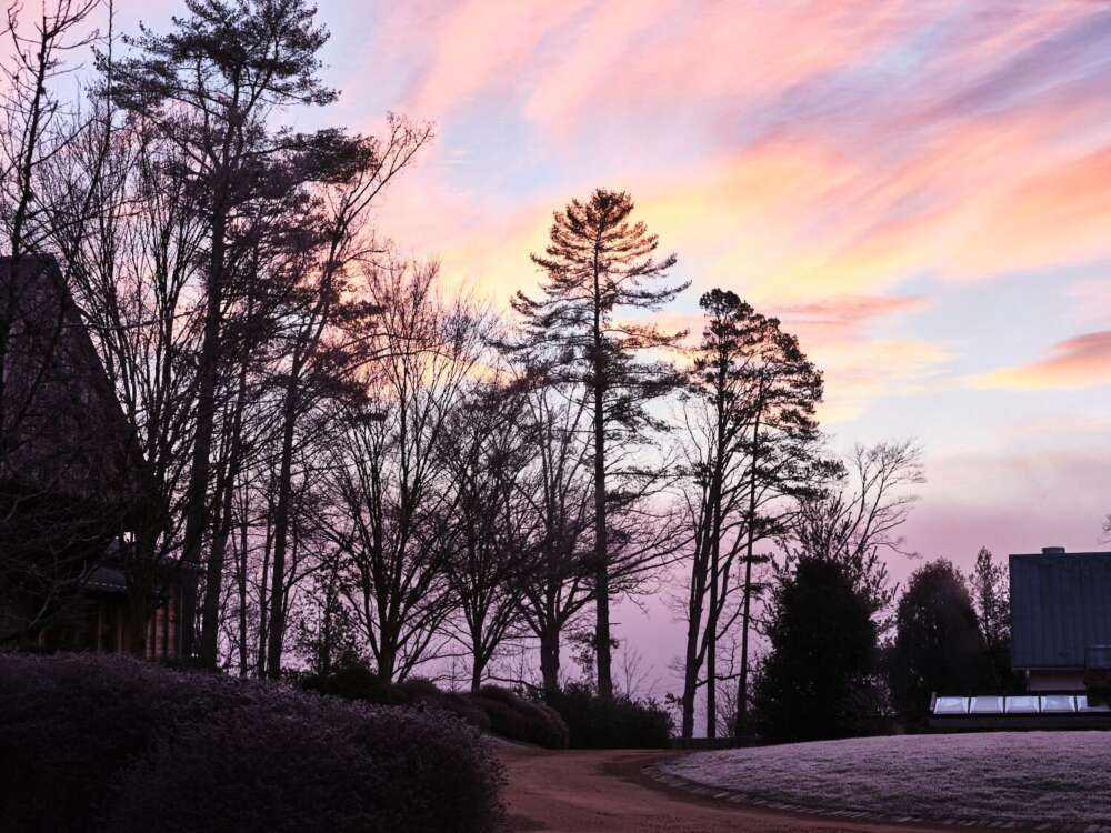 Winter Scenic