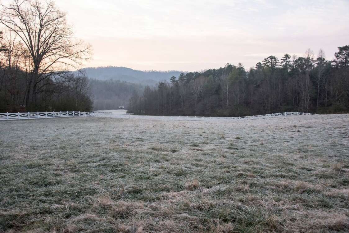 Winter Scenic