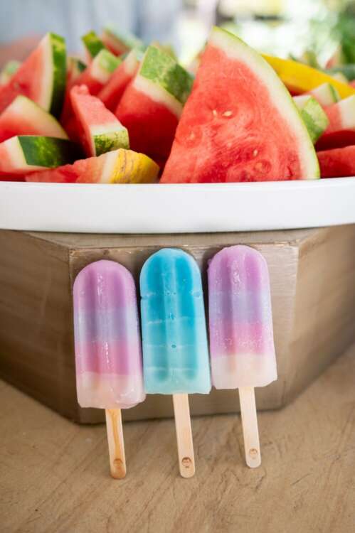 Popsicles and Snacks