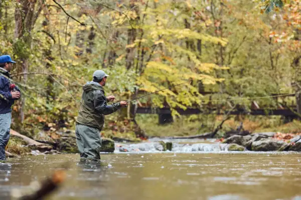 Men Fly Fishing in Creek