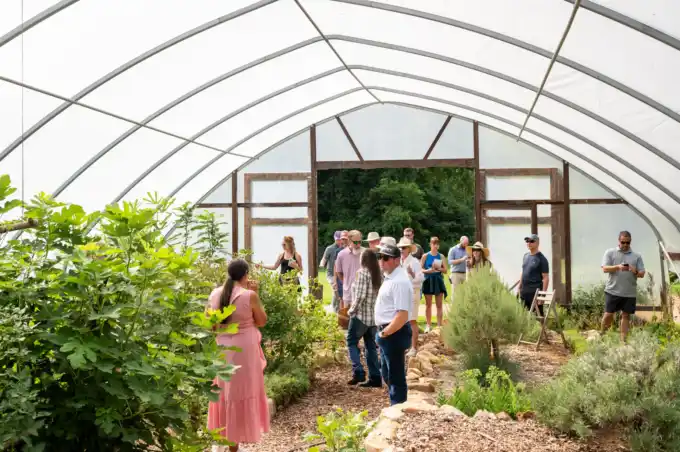 Guests in Hoop House