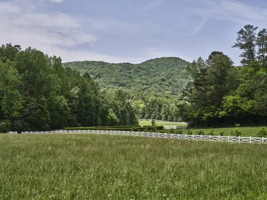 Blackberry 2025 Farm Scenics DSCF9481