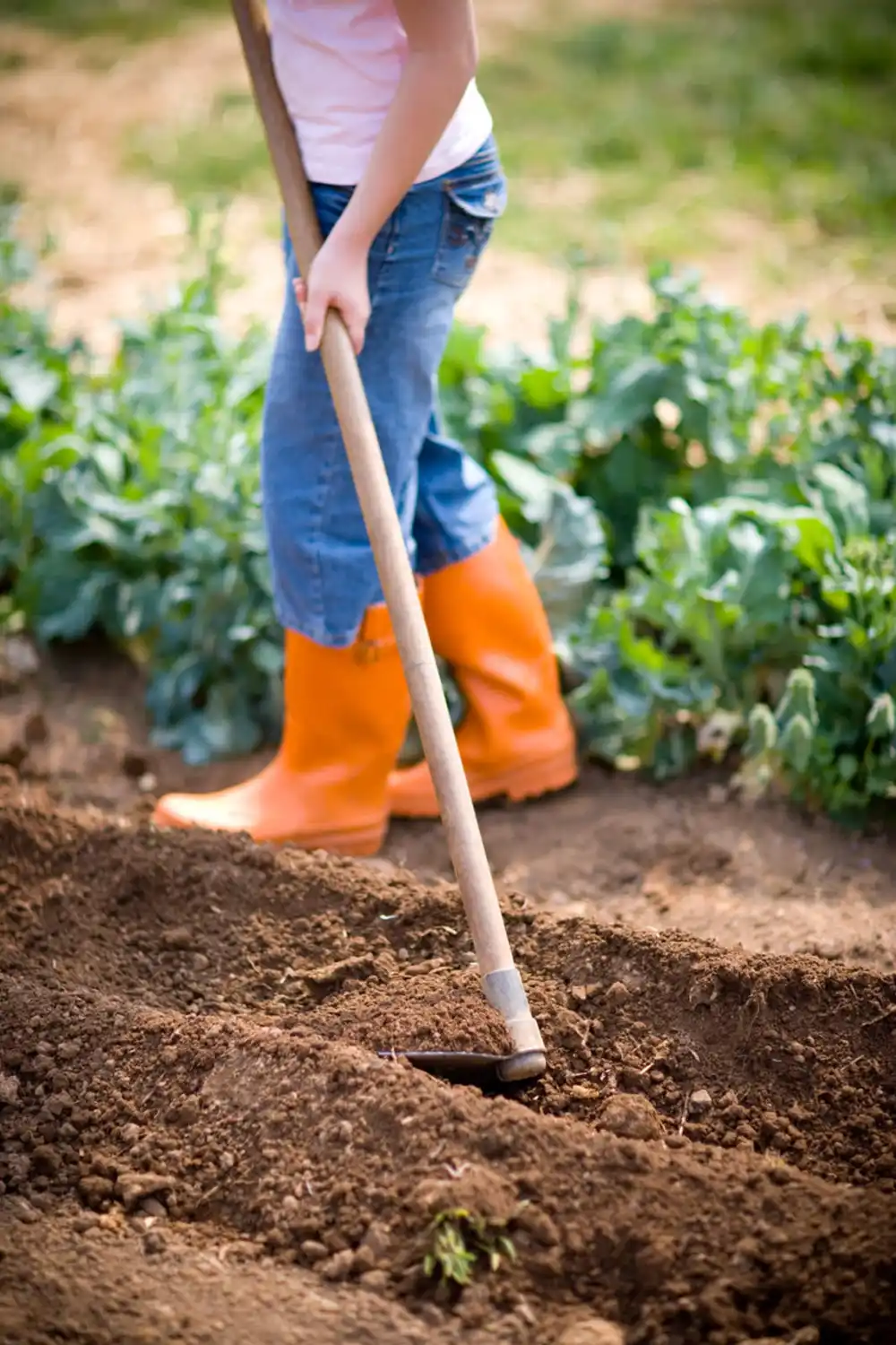 Child Working in a Garden