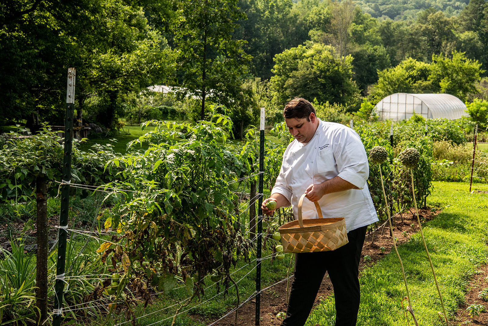 BF 21 07 27 RAU SUMMER BEES GARDEN 9499