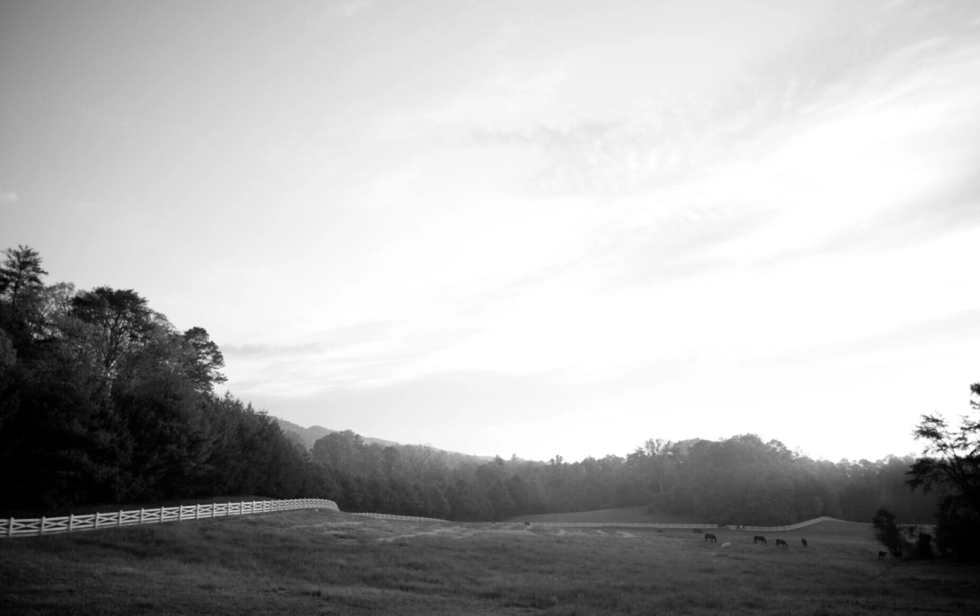Blackberry Farm Foundation 2016 Grants News Releases