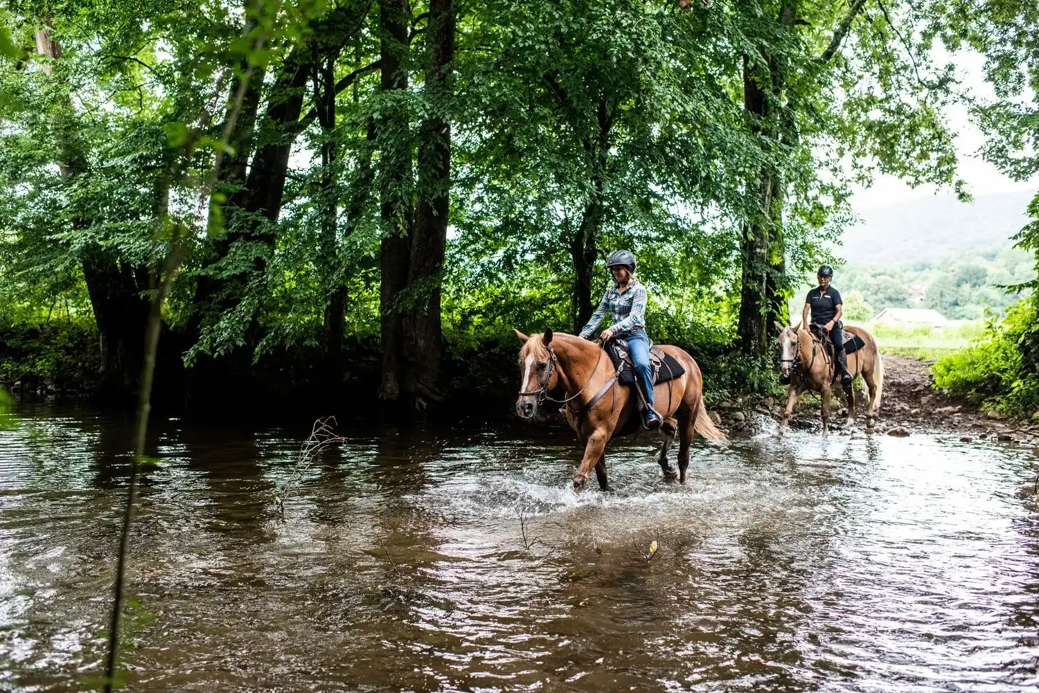 Guests Riding Horses Through the Creek