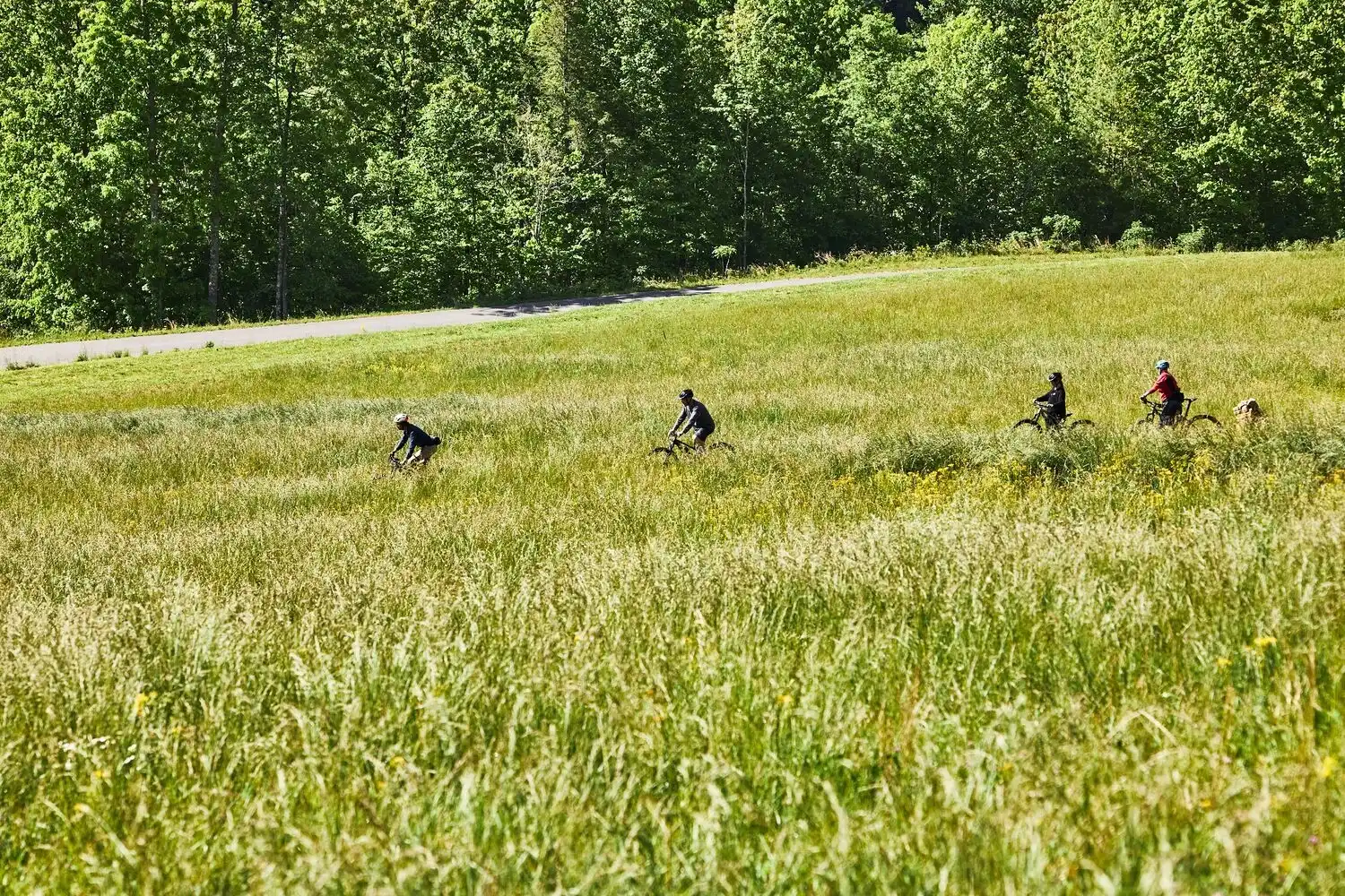 Guests Cycling Through a Field