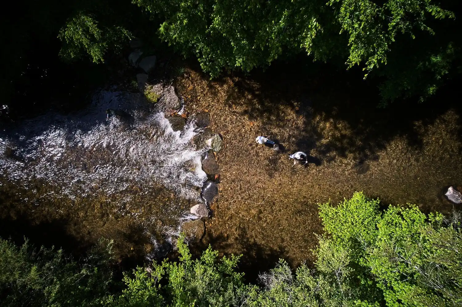 Overhead Photo of Fly Fishing Stream