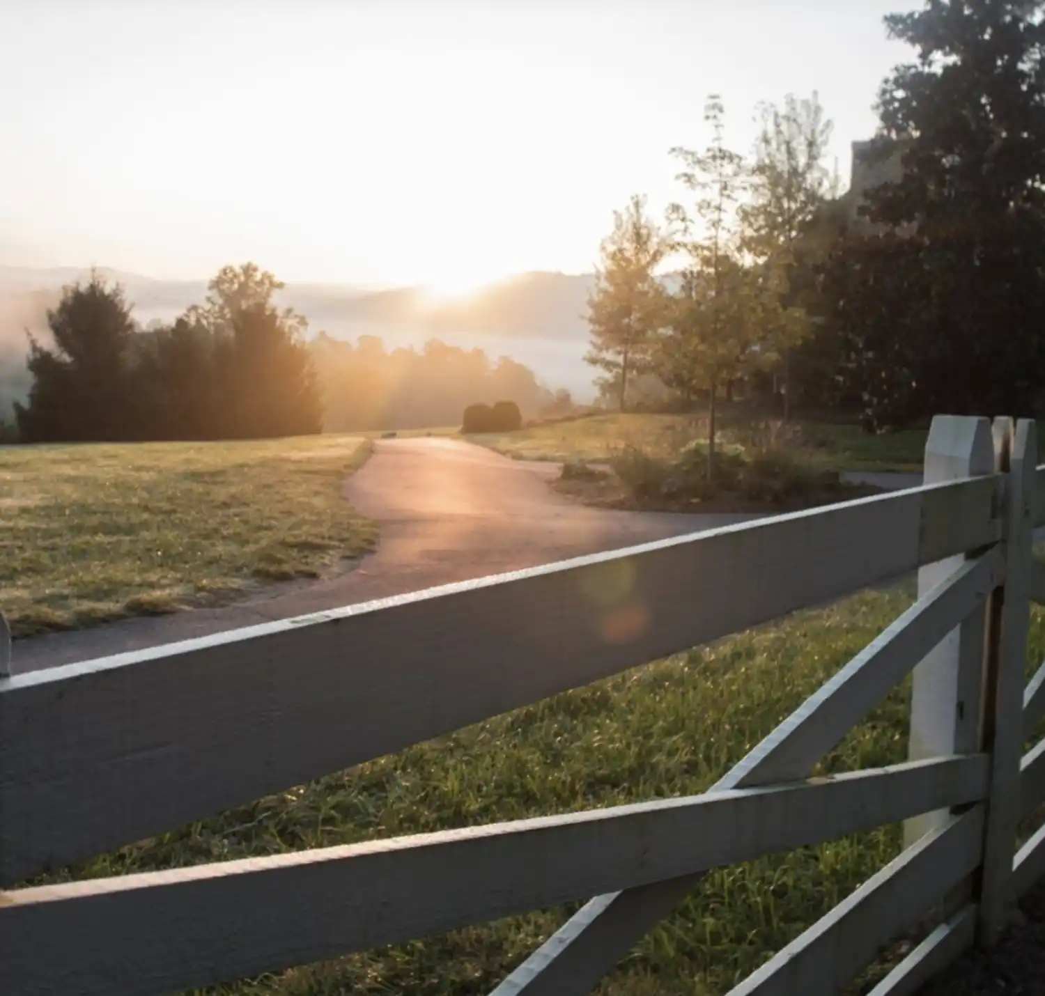Sun Rising over White Fenceline