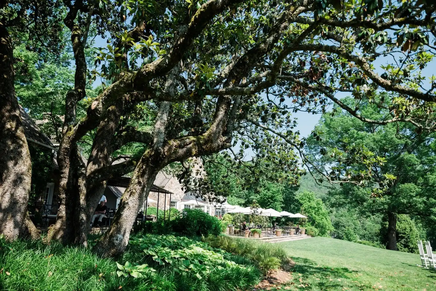 Mainhouse Veranda in Summer