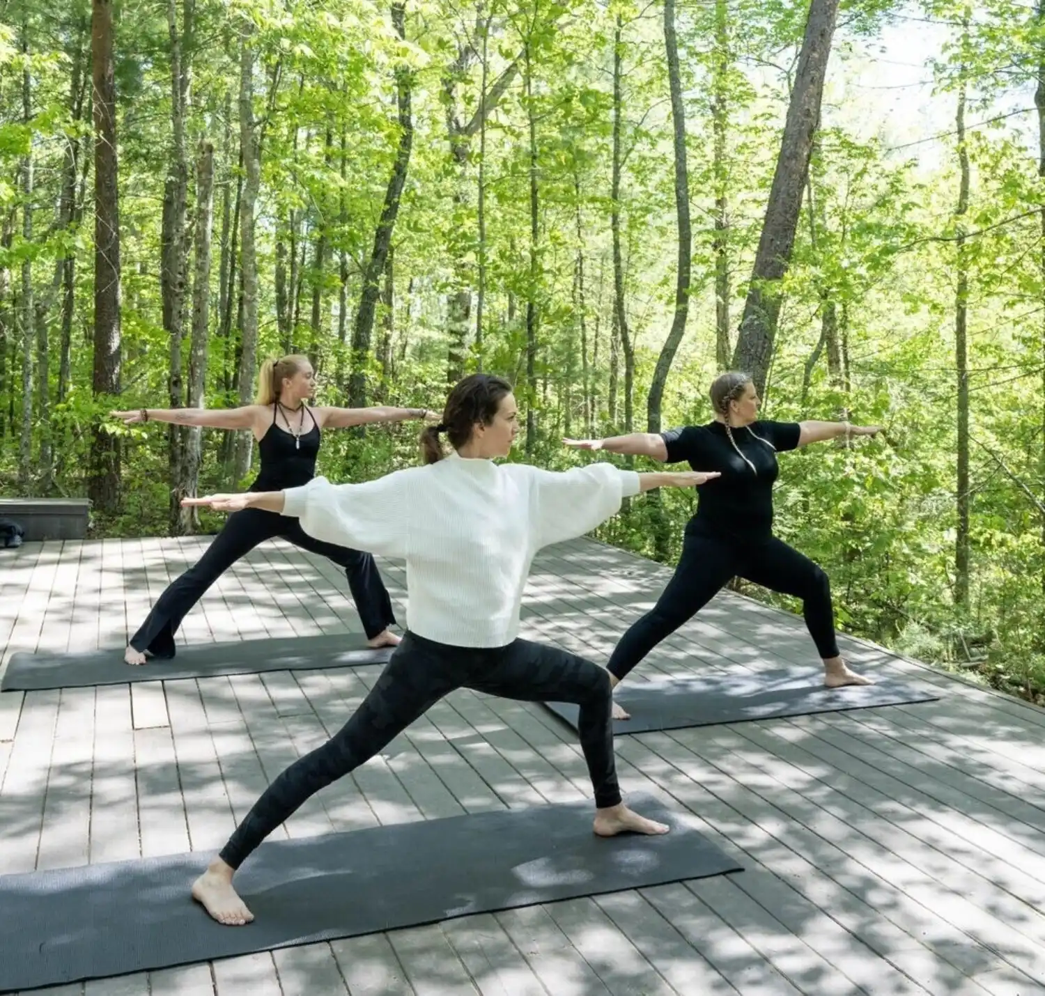 Deep Healing Woods
