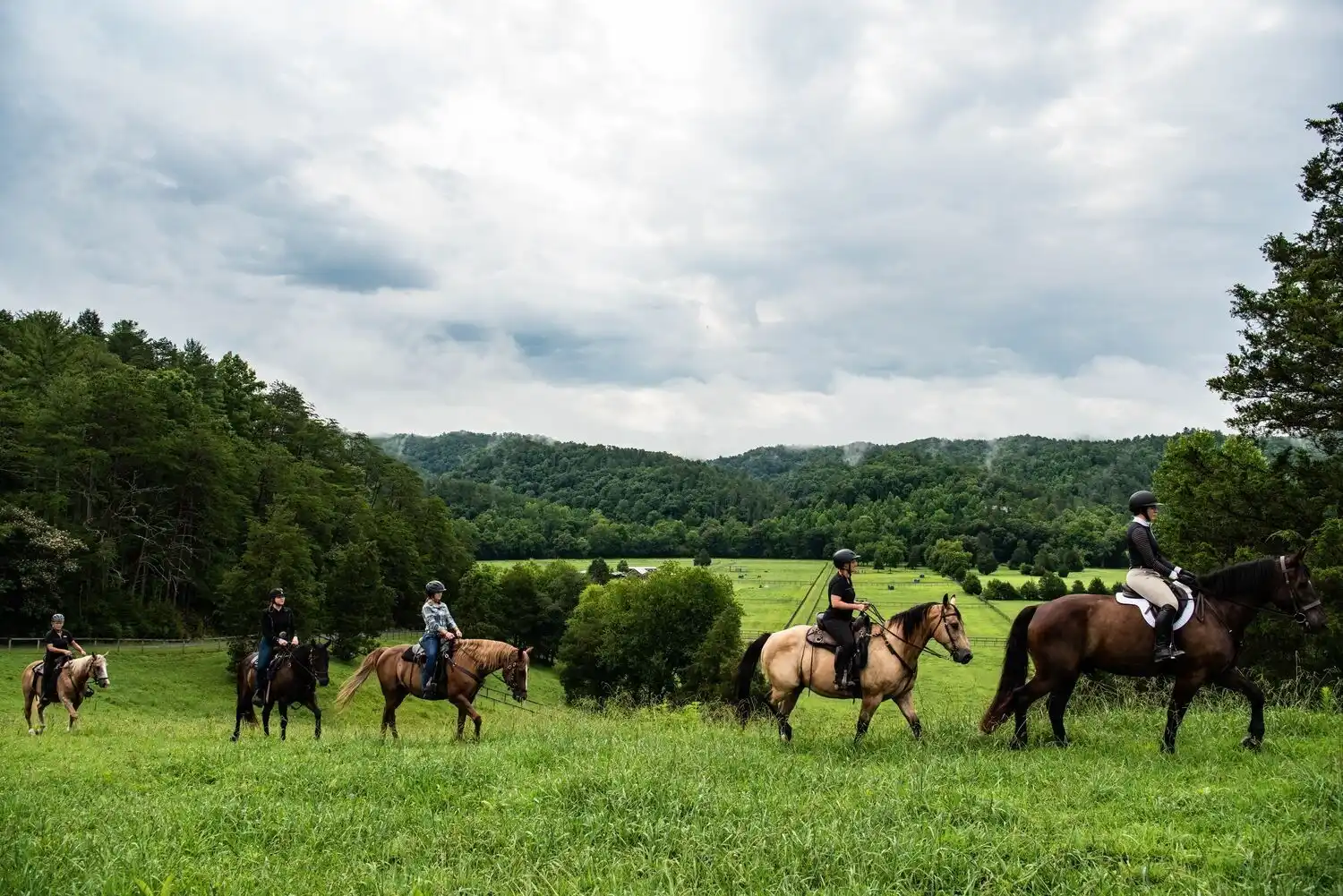 Horseback Riding