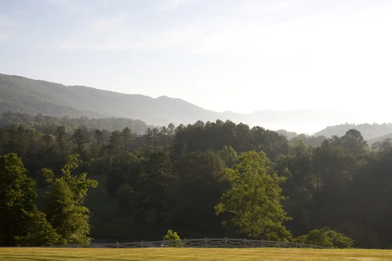 Foggy Mountain Scenic View