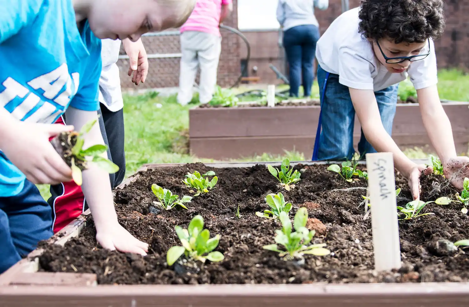 Kids Working in a Flower Bed