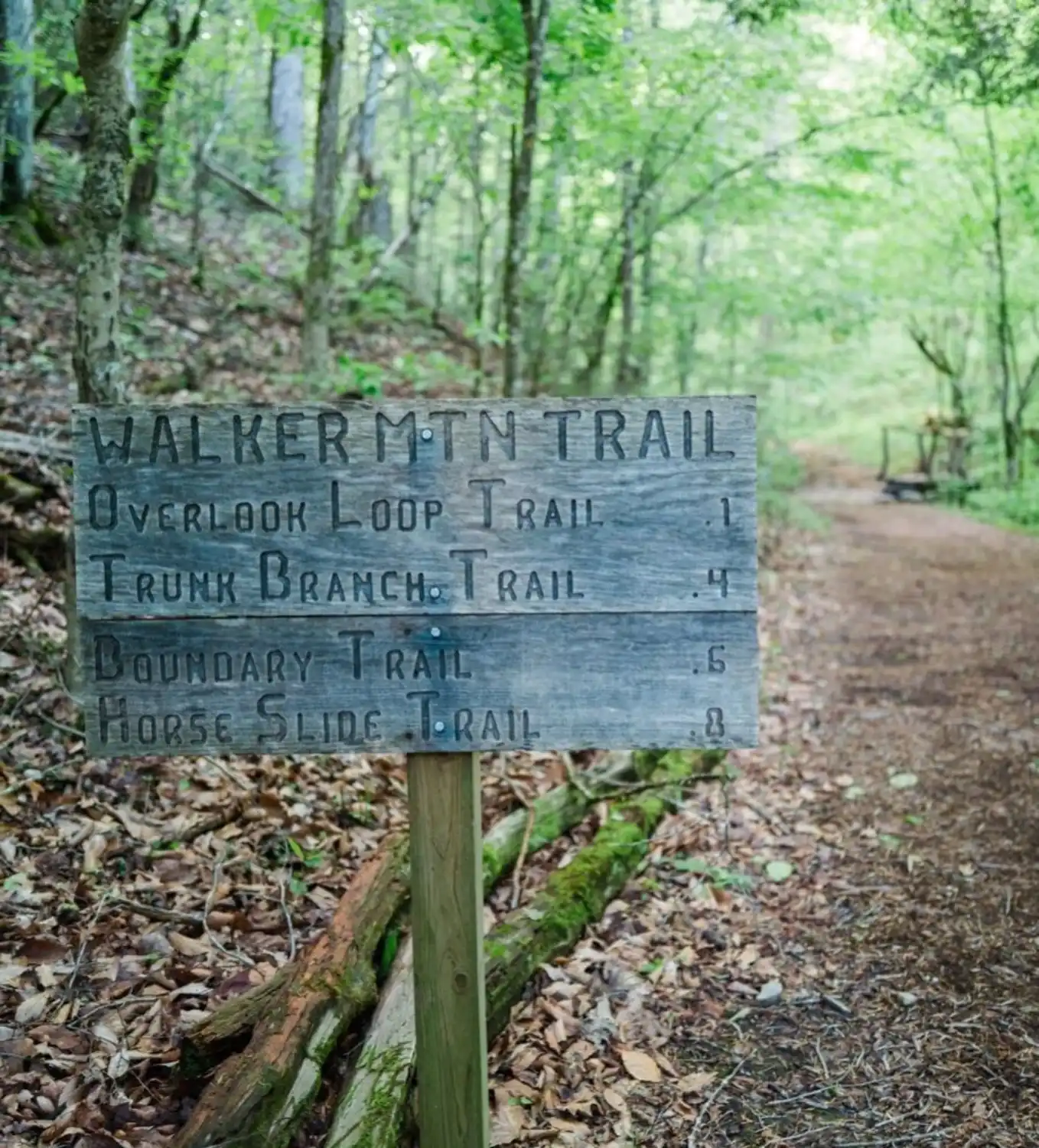 Walker Mountain Trailhead