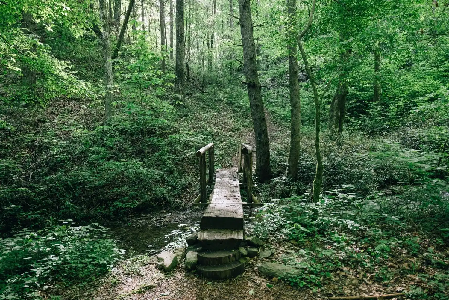 Bridge Hiking Trail