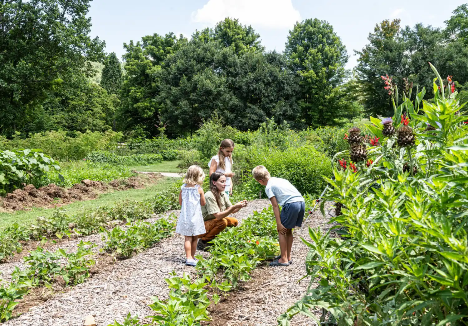 Kids Learning in the Garden