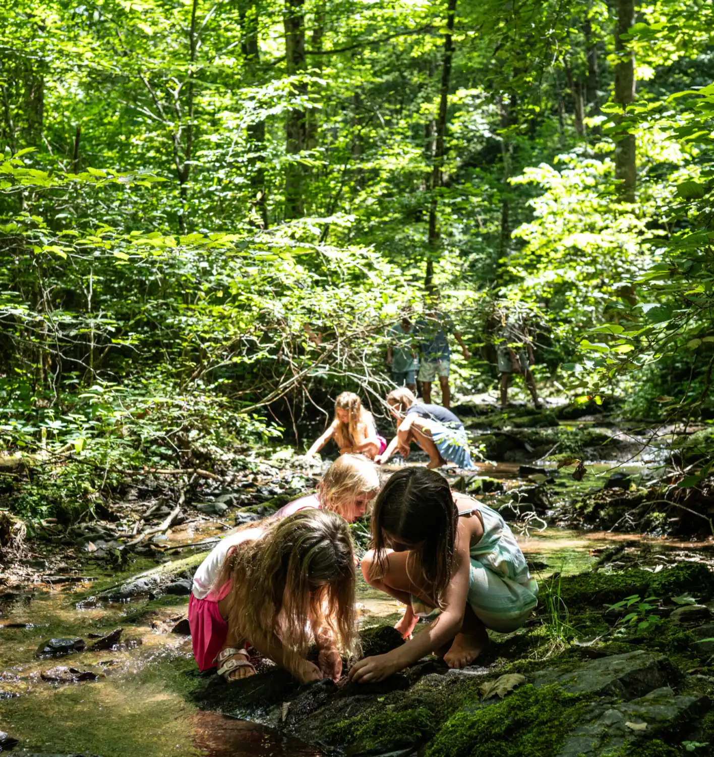 Kids Exploring a Stream