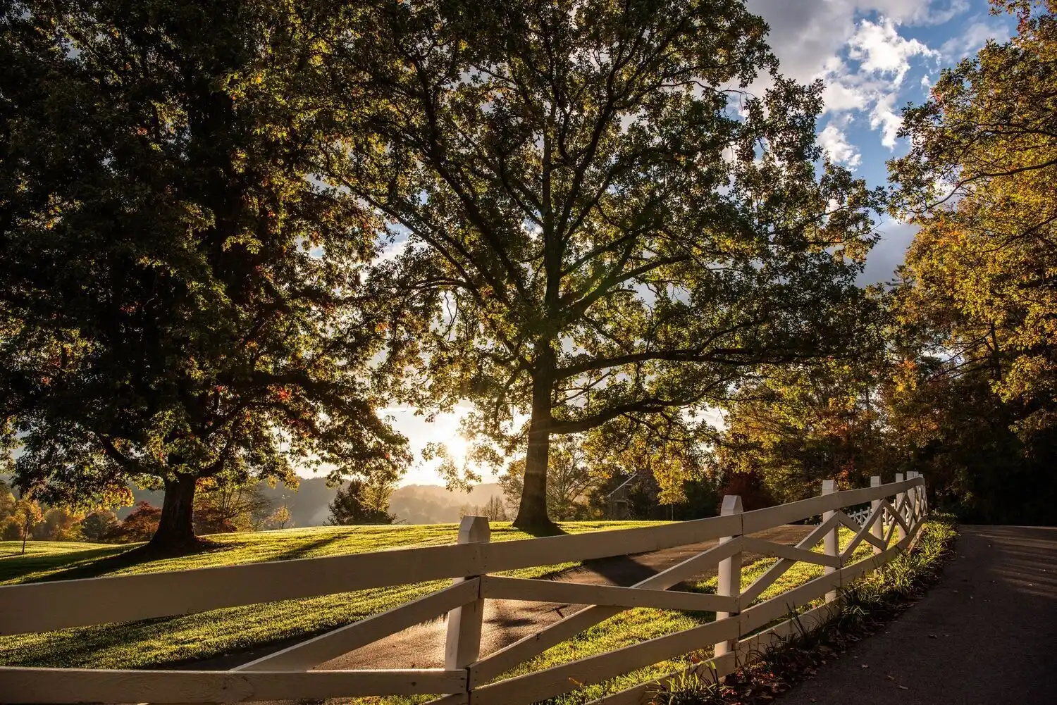 Web JPG BF 21 10 28 RAU FALL sunrise 7362