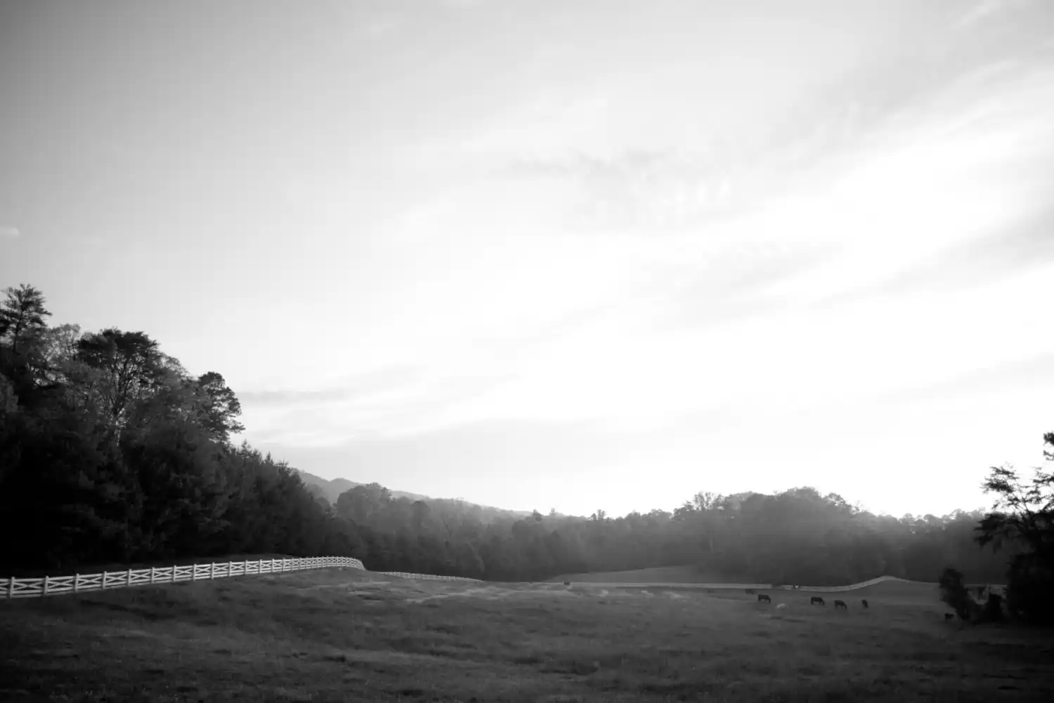 Band T 05022006 D6 R0112