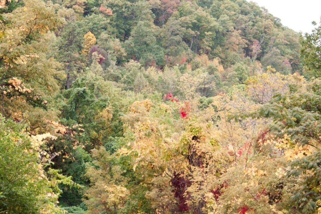 tour-de-smokies-2011_8594922077_o.jpg