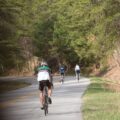 bandt_20140331_3622_14113399760_o.jpg