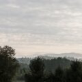 rau_6778_21696305852_o.jpg