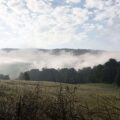 rau_6799_21520947989_o.jpg