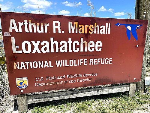 À l’ouest de Delray : Le Arthur R Marshall Loxahatchee National Wildlife Refuge Un parc unique en son genre