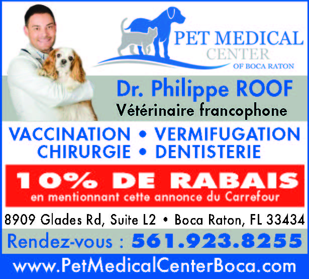 CONSEIL PAR LE DOCTEUR ROOF VÉTÉRINAIRE VOICI CE QUE VOTRE CHIEN NE DOIT PAS SE METTRE SOUS LA DENT