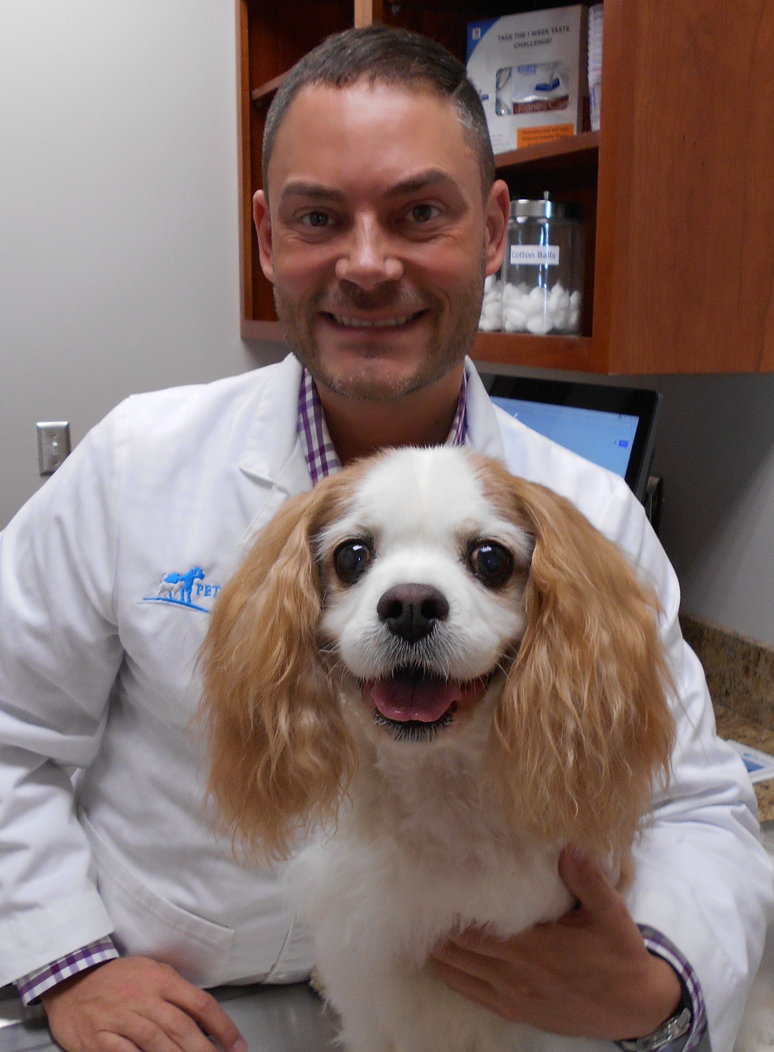 LE DOCTEUR ROOF RÉPOND À VOS QUESTIONS EN CE QUI TOUCHE LES TOUTOU MALADIES