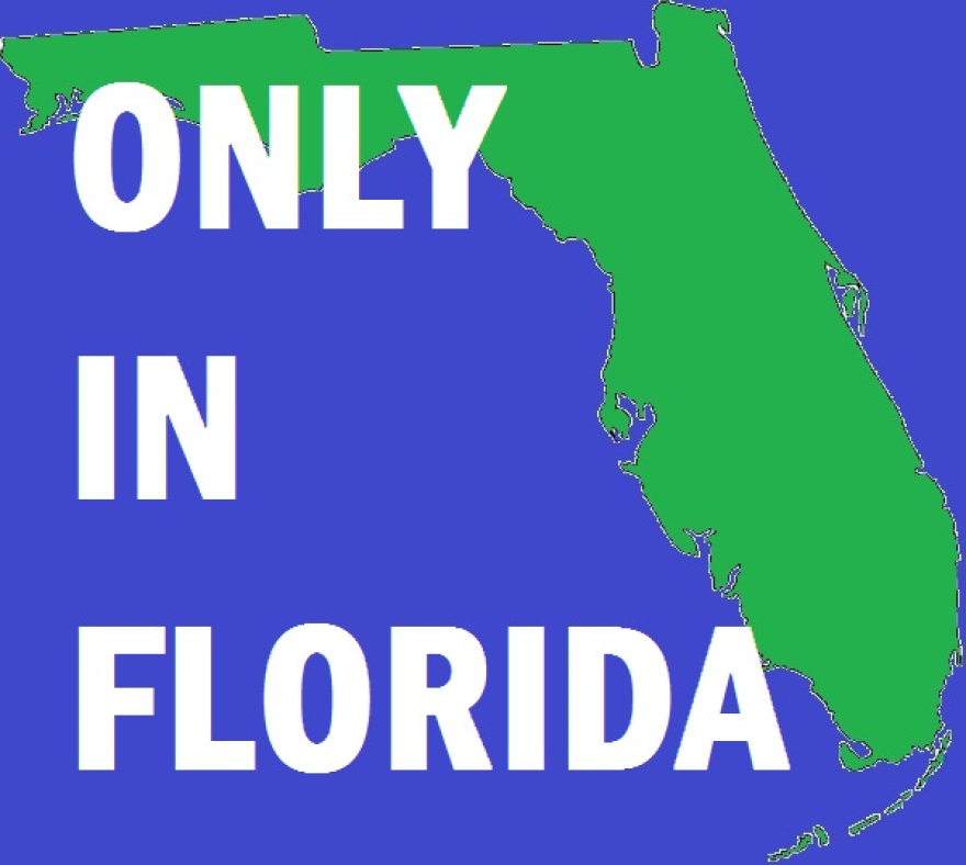 Si la Floride devenait un jour un pays : 5 faits surprenants sur son économie