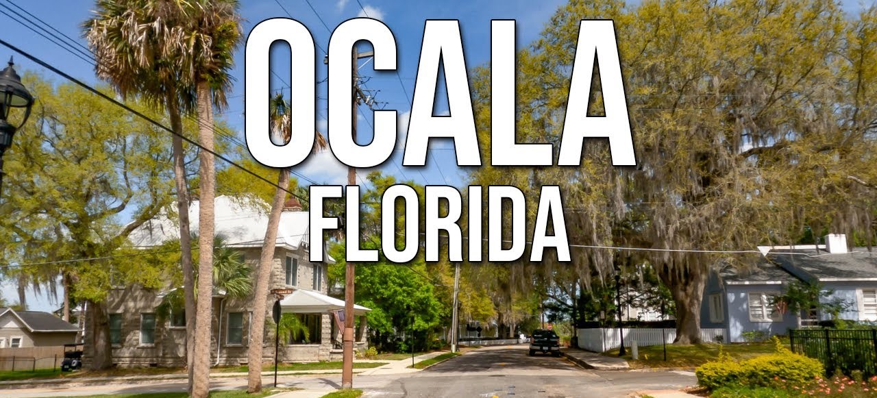 Faites une visite à Ocala au centre de la Floride et vous serez surpris et à la fois ravis