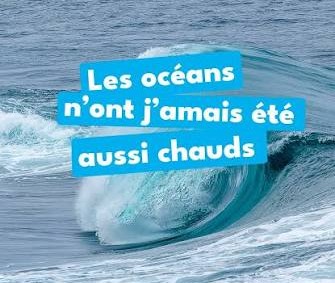 L’océan floridienne se vide peu à peu de ses beautés