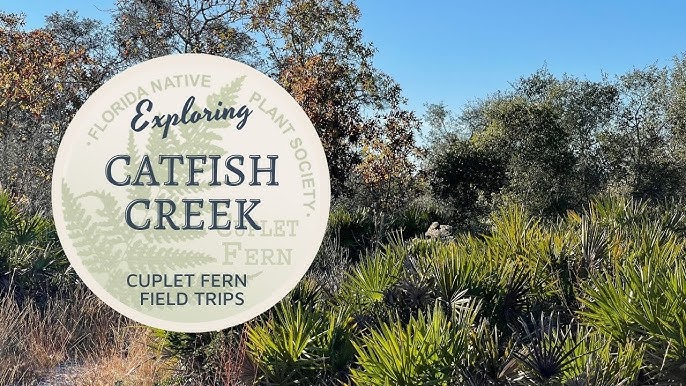 Le Catfish Creek Preserve ce parc qui abrite une espèce d’oiseau unique au monde