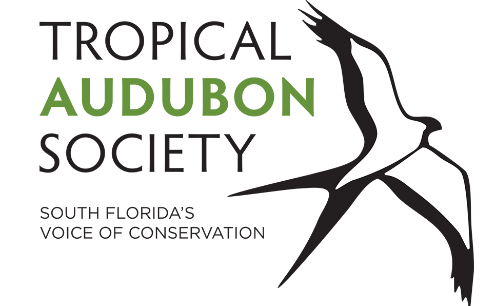 La Tropical Audubon Society a besoin d'aide pour surveiller les nombreux décès d'oiseaux dans le sud de la Floride.