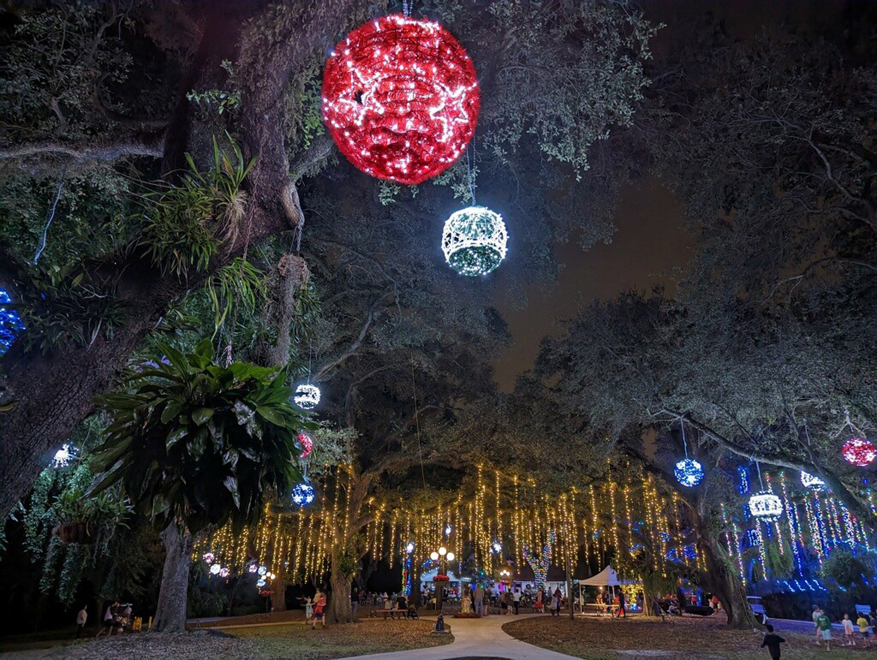 Flamingo Gardens – le jardin secret pour découvrir la faune et la flore des Everglades