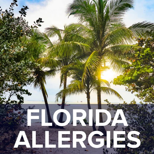 Les 7 villes en Floride qu’il faut connaître pour ceux et celles qui souffrent d’allergie d'écoulements nasaux et de maux de gorge.