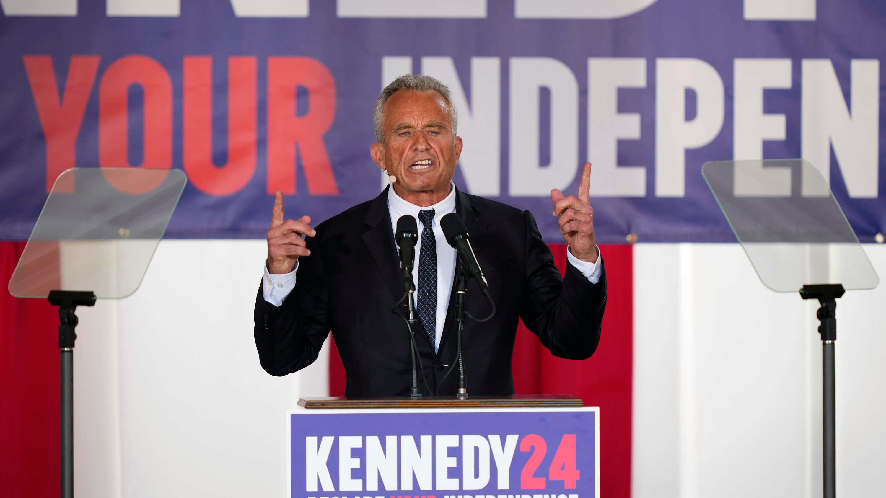 Aux États-Unis, les candidats indépendants qui pourraient faire basculer la présidentielle.