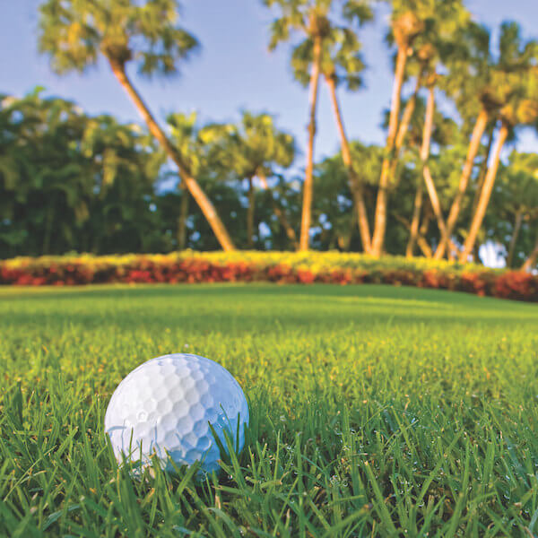 4 terrains de golf sur 10 dans le monde sont situés aux USA