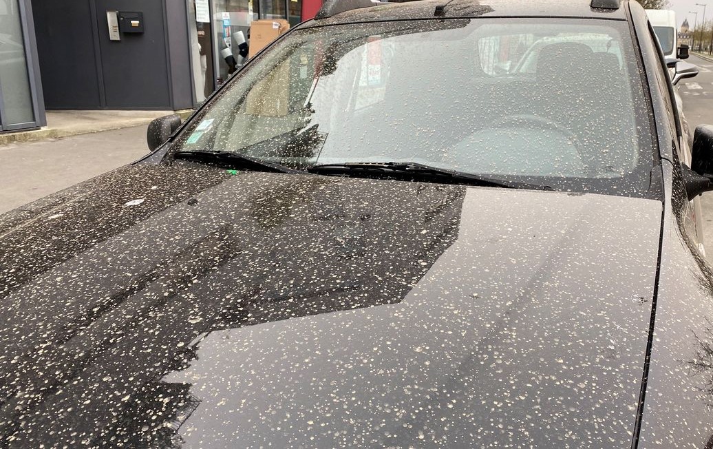 Qu'est-ce que signifie la saison de la PLUIE SALE en Floride et quelles en sont les causes ?