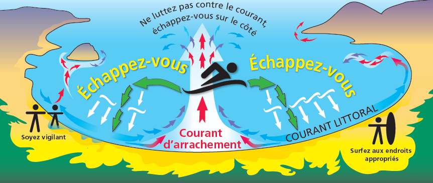Ce qu'il faut savoir sur les courants des plages en Floride et où ils sont vous poussant au large pouvant être mortels