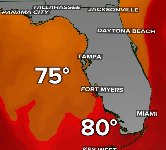 Les températures de surface de la mer sont en hausse dans le monde entier, mais le problème est plus prononcé dans le sud de la Floride voici pourquoi
