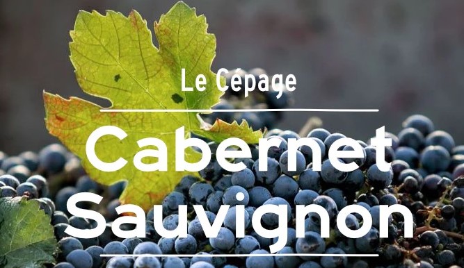 Pour Noël le maître incontesté du vin des Québécois
