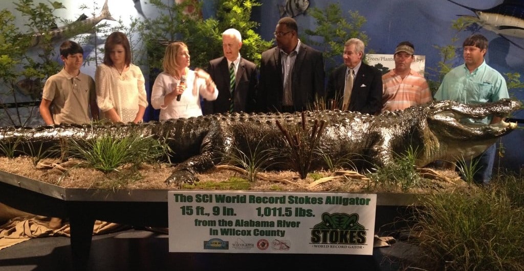 Le plus grand alligator jamais trouvé se trouve dans cet État surprenant, mais OÙ selon vous ? NON et ce n'est ni la Floride ni la Louisiane.