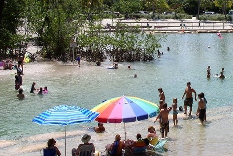 Dubois Park un parc exceptionnel pour les amateurs de plongée à Tuba