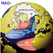 Voici les raisons pourquoi fait-il si froid en Floride en ce moment ?