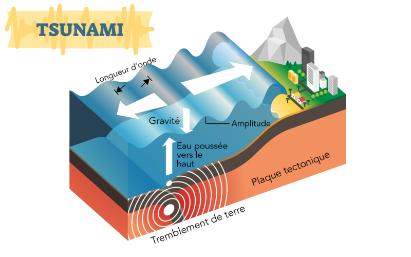 Selon vous est-ce qu’un tsunami pourrait-il frapper un jour la Floride ? Voici ce qu’en disent les experts.