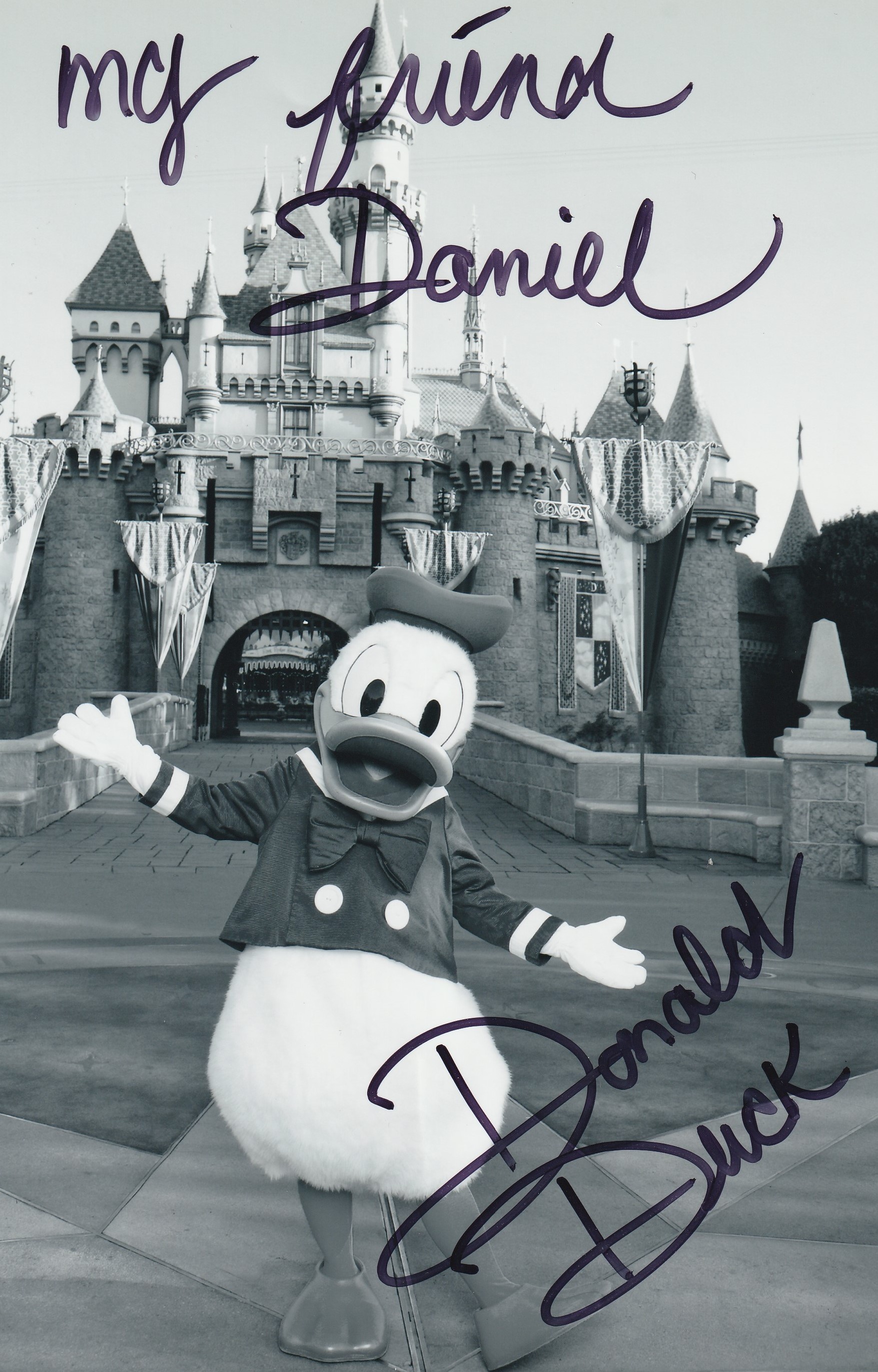 Les Donald Duck de ce monde en connaissez-vous un qui a 90 ans et en pleine forme ?